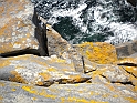 Dublino e Galway_048